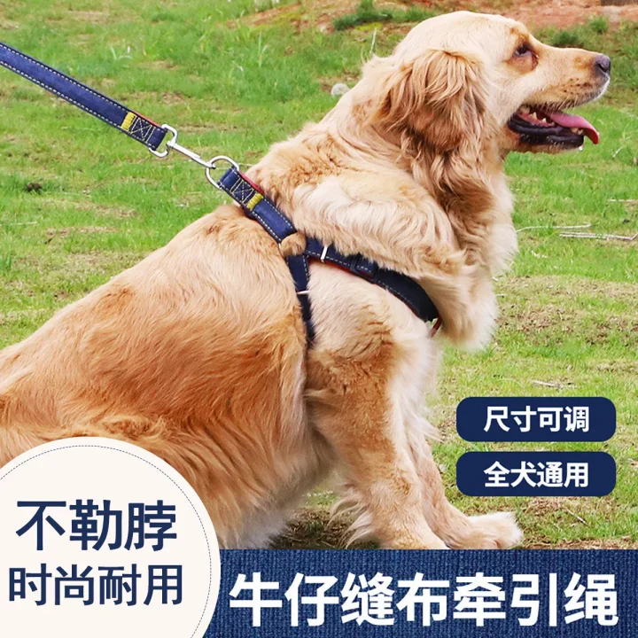 贝倍趣beibeiqu宠物旗舰店 狗链子狗绳子自动伸缩遛狗绳项圈狗狗牵引绳狗链子 唯品会